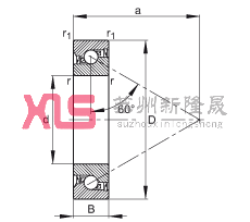 ǽӴ BSB025062-2RS-T, 򣬽Ӵ a = 60㣬ƹഽܷ