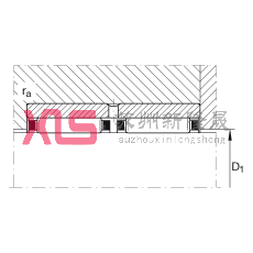  RNAO50X65X40-ZW-ASR1, ޵ߣ˫