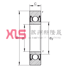  LR207-X-2RS, ˫ܷ