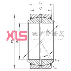 ؽ GE17-DO-2RS,  DIN ISO 12 240-1 ׼, άഽܷ