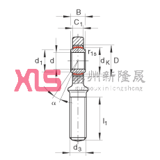 ˶ GAR60-UK-2RS,  DIN ISO 12 240-4 ׼ƣάഽܷ