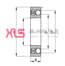 Ե 2207-K-TVH-C3,  DIN 630 ׼Ҫߴ, ׶ף׶ 1:12