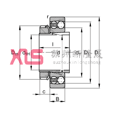 Ե 2205-K-TVH-C3 + H305,  DIN 630  DIN 5415 ׼Ҫߴ, ׶׺ͽ