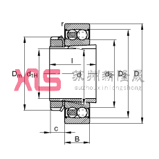 Ե 2205-K-2RS-TVH-C3 + H305,  DIN 630  DIN 5415 ׼Ҫߴ, ׶׺ͽףഽܷ