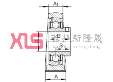 ֱʽԪ PASEY1/2, У ABMA 15 - 1991, ABMA 14 - 1991, ISO3228 Ȧƽͷ˨Pܷ⣬Ӣ