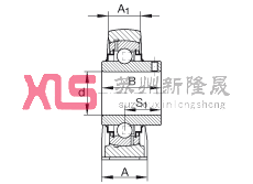 ֱʽԪ RASEY1-1/4-206, У ABMA 15 - 1991, ABMA 14 - 1991, ISO3228 Ȧƽͷ˨Rܷ⣬Ӣ